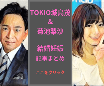 Tokio城島茂菊池梨沙まとめ記事アイコン Mish Mash